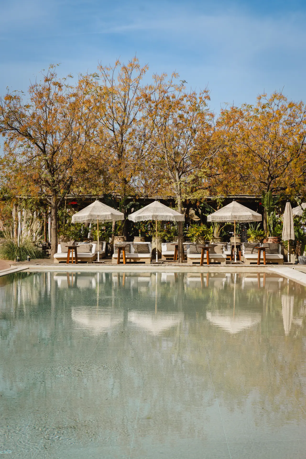 La piscine et ses parasols, arbres en automne