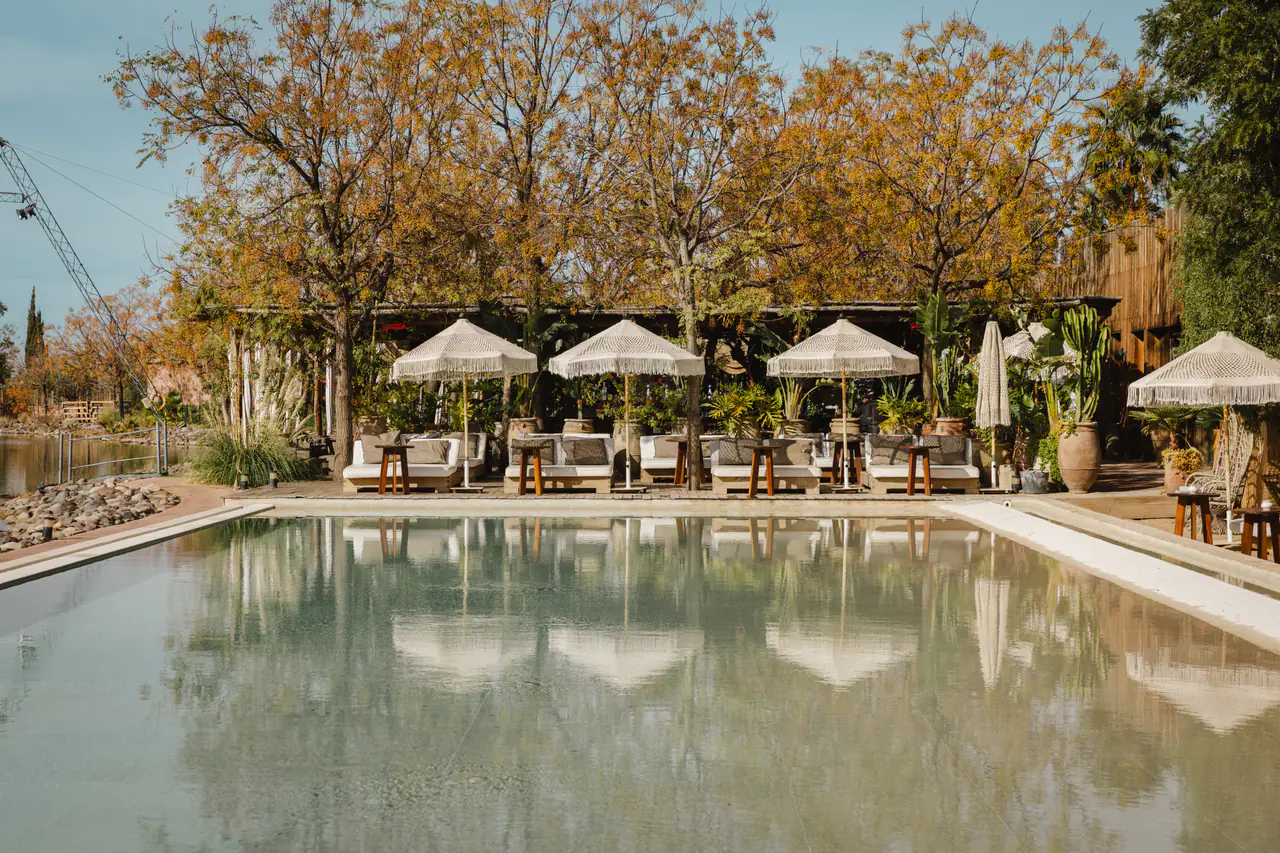 La piscine et la rangée de parasols au bord de l’eau
